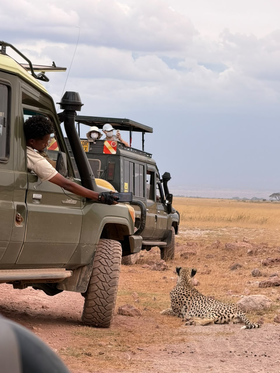 Safari Experience